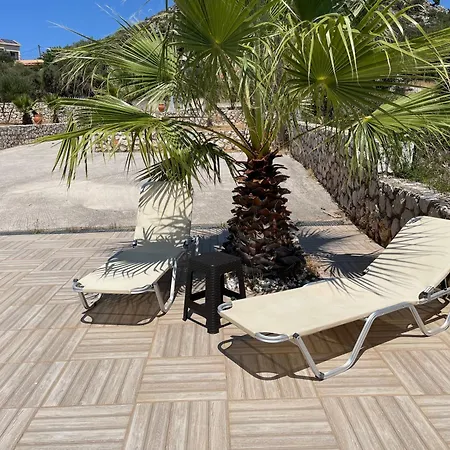 فيلة Evangelia *